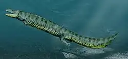 Pholiderpeton scutigerum