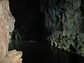 Une rivière souterraine du parc
