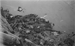 Photo noir et blanc d'un amas de cadavres dans une rivière