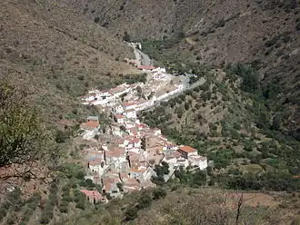 Laroya