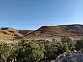 L'oasis