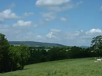 Photographie d'un paysage de prés et forêts.