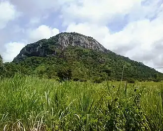 Yangben
