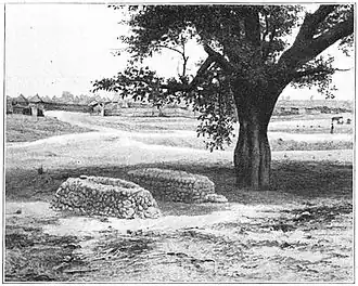 Maïjirgui