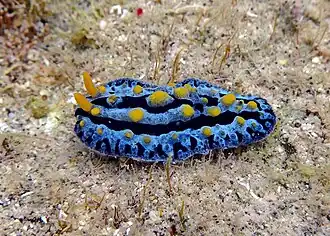 La Réunion