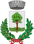 Blason de Pianfei