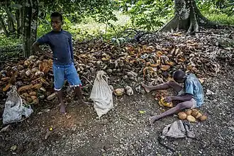 Noix de coco