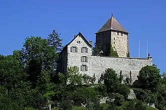 Image illustrative de l’article Château de Herblingen