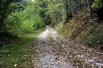 La voie romaine.