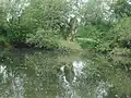 Côté sud-ouest.