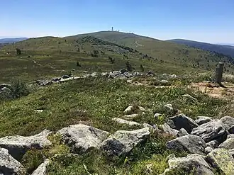 Pierre-sur-Haute depuis Peyre-Mayou.