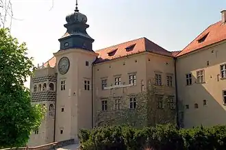 Image illustrative de l’article Pieskowa Skała
