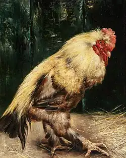 Coq, vers 1900..