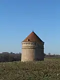 Pigeonnier vu depuis la D19 en 2025.