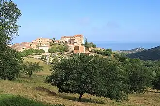 Pigna