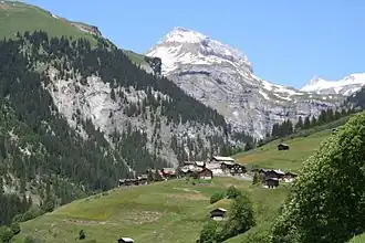 Pigniu