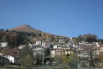Pigra