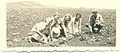 Préparation d'un champ de sésame par Simon Tabachnik (Shavit), Buchman, Gita Cohen (Tabachnik), Deborah Agulnik (Tabachnik), à Kiryat Ata (v. 1937)