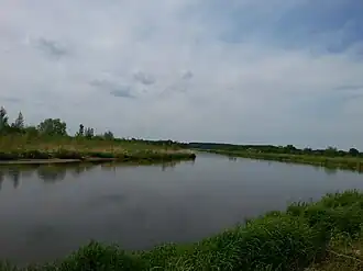 Brzeźce (Mazovie)