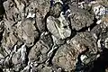 Lave en coussins (pillow lavas) datant de l'Ordovicien à la pointe de Lostmarc'h
