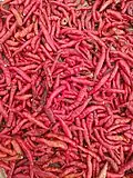 Piment rouge cultivé au Sud Bénin.
