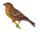 icône décorative