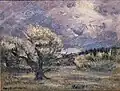 Pink Bush (1906)