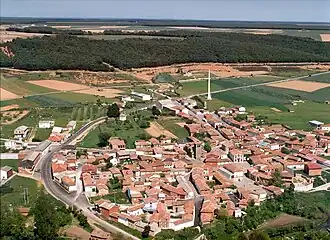 Pino del Río