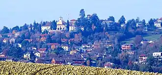 Pino Torinese