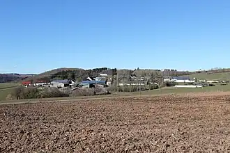 Pintesfeld