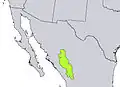 Carte de répartition de Pinus arizonica var. cooperi