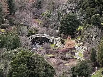 Pont génois de Forcili.