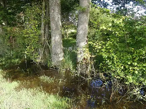 La partie nord.