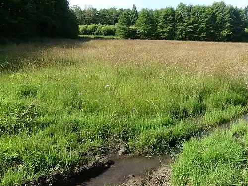 La partie sud.