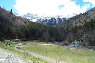Image illustrative de l’article Forêt de Oza