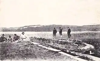 Vestige de pirogue de l'âge du bronze.