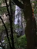Descente raide entre arbres et rochers, face à la chute