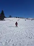 Piste bleue La Gypaète.
