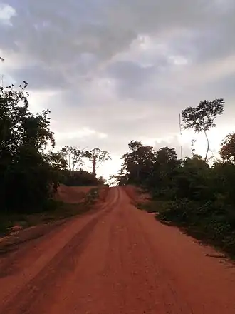 Taï