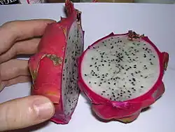 Intérieur d’une pitaya Hylocereus undatus.