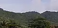 Piton Deshaies (à droite) et piton de Sainte-Rose.