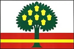 Drapeau de Plískov