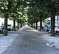 La place des Coustous.