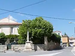 Place des Platanes.
