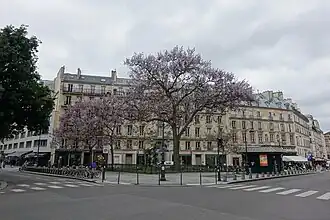 Voir la photo.