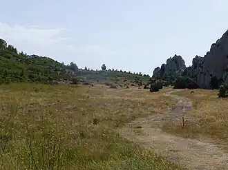 Plaine devant l'Oppidum des Caisses de Jean-Jean (août 2023).