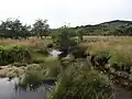 La Biourière dans sa partie médiane. Le ruisseau fait des méandres sur un ancien sandur. Altitude : environ 1&nbsp;100&nbsp;m.