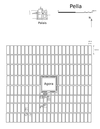 Plan schématique de Pella.