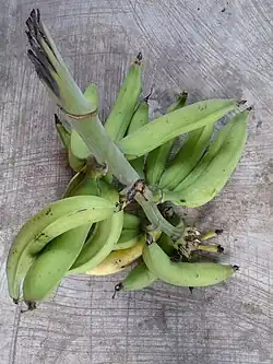 Plantains