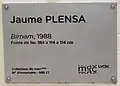Plaque de Birnam de Jaume Plensa.